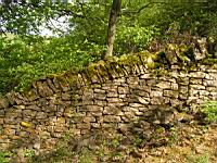 Jarnioux - Mur en pierres seches (1)